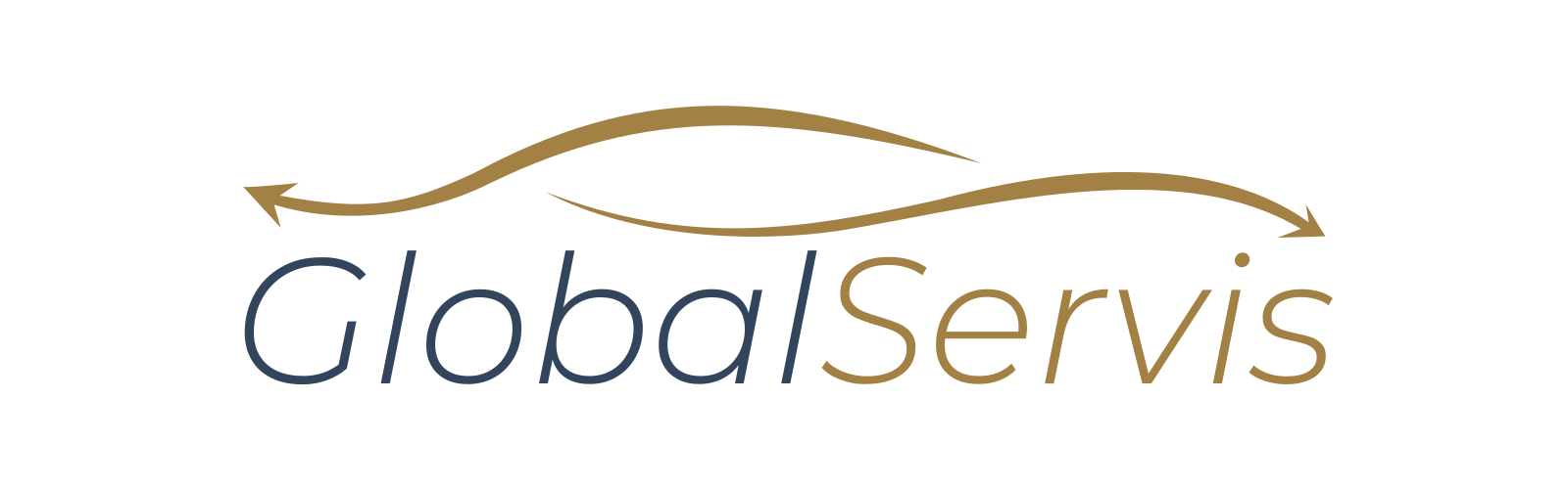 Global Servis